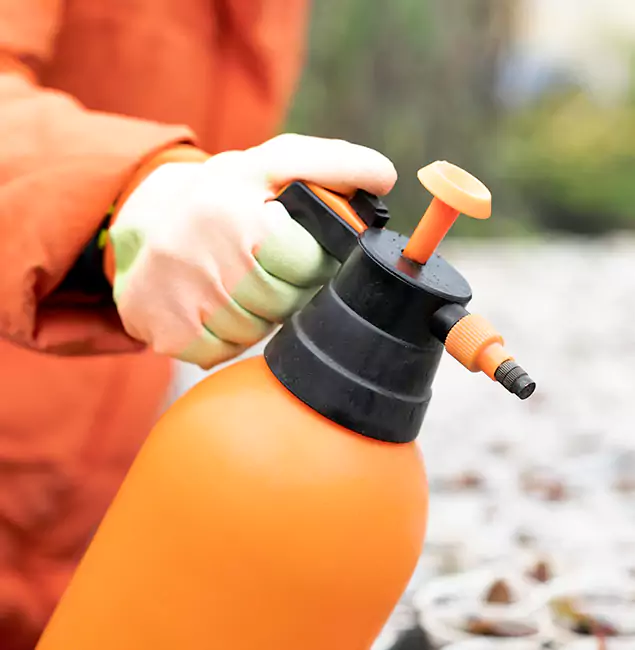 Why Choose Cartersville Pest Control Inc for Orange Termite Treatment in Cartersville, GA?