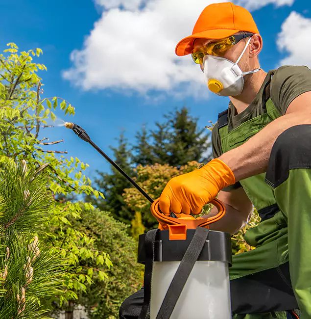 Why Choose Cartersville Pest Control Inc for Outdoor Pest Control in Cartersville, GA?