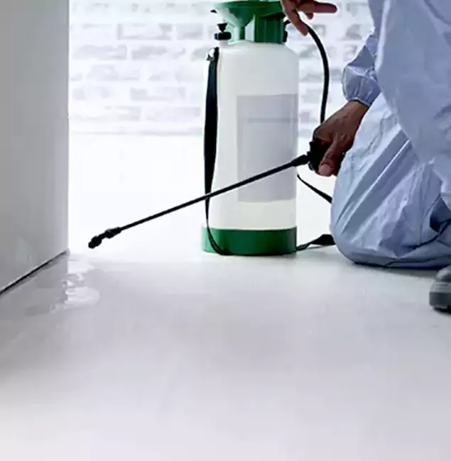 Why Choose Cartersville Pest Control Inc for Rat Exterminator in Cartersville, GA?