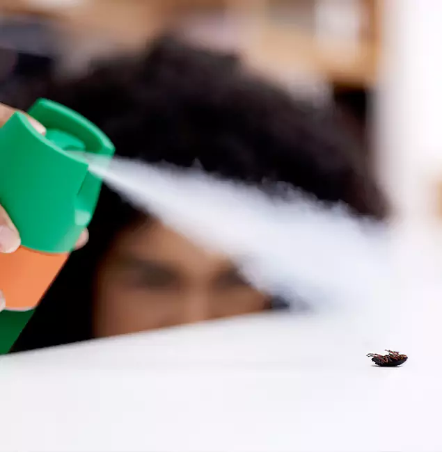 Why Cartersville, GA Homeowners Choose Cartersville Pest Control Inc for Roach Pest Control?