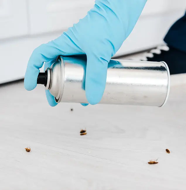 Why Choose Cartersville Pest Control Inc for Safe Bed Bug Treatment in Cartersville, GA?