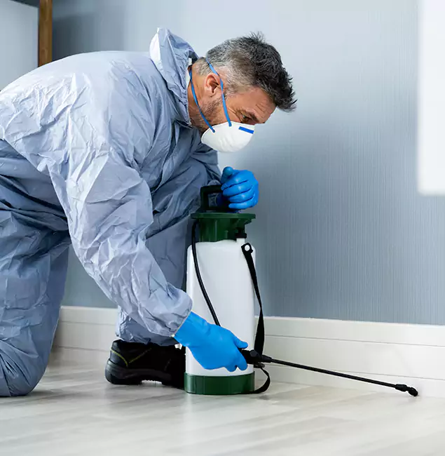 Why Choose Cartersville Pest Control Inc for Subterranean Termites Treatment in Cartersville, GA?