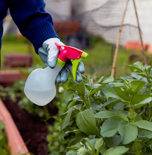 Why Cartersville Relies on Cartersville Pest Control Inc for Wasp Control Services?