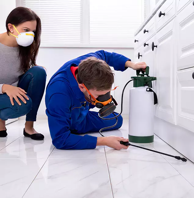 Why Choose Wood Termite Treatment by Cartersville Pest Control Inc in Cartersville, GA?