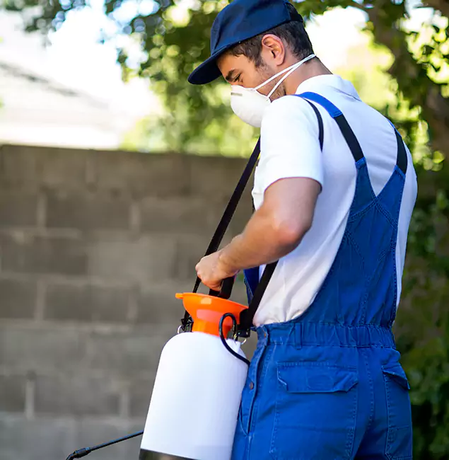 Why Cartersville Pest Control Inc Is the Right Choice for Yellow Jacket Removal in Cartersville, GA?