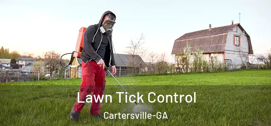  Lawn Tick Control Cartersville-GA