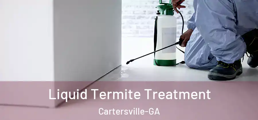  Liquid Termite Treatment Cartersville-GA