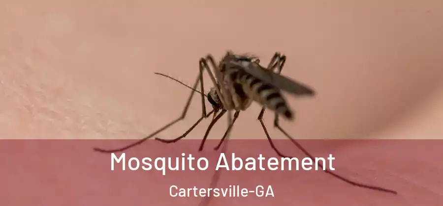 Mosquito Abatement Cartersville-GA