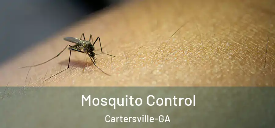 Mosquito Control Cartersville-GA