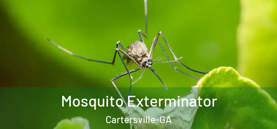 Mosquito Exterminator Cartersville-GA