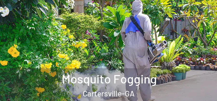  Mosquito Fogging Cartersville-GA