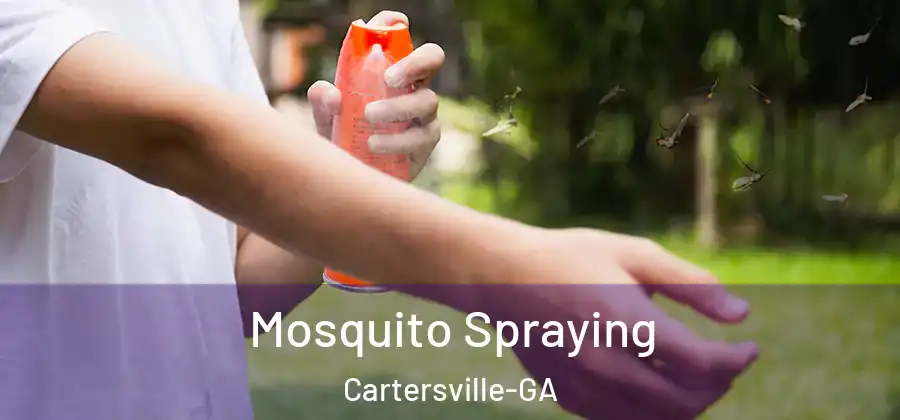  Mosquito Spraying Cartersville-GA
