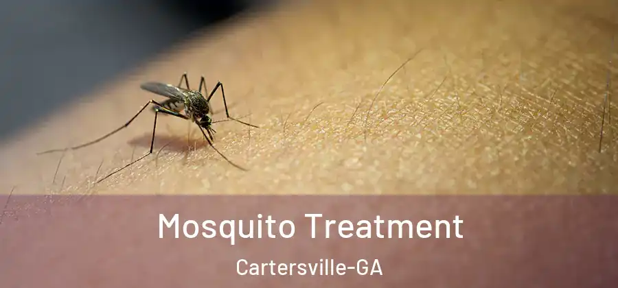 Mosquito Treatment Cartersville-GA