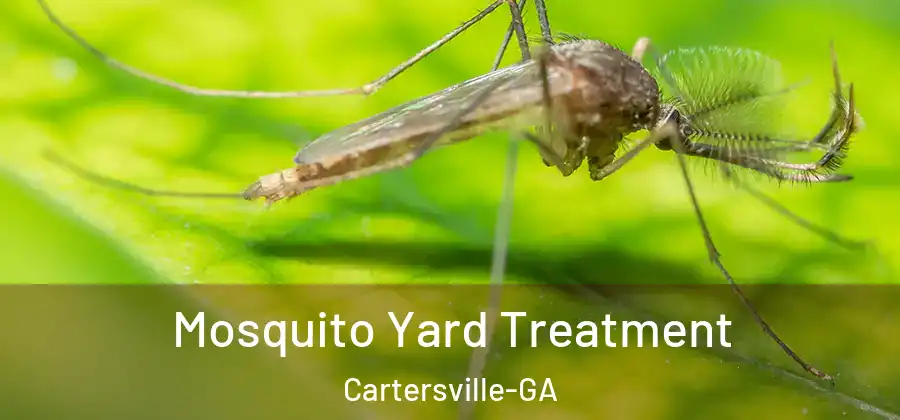 Mosquito Yard Treatment Cartersville-GA