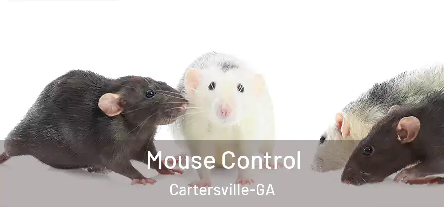 Mouse Control Cartersville-GA