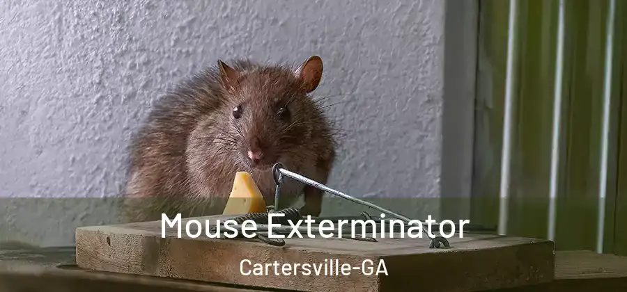 Mouse Exterminator Cartersville-GA