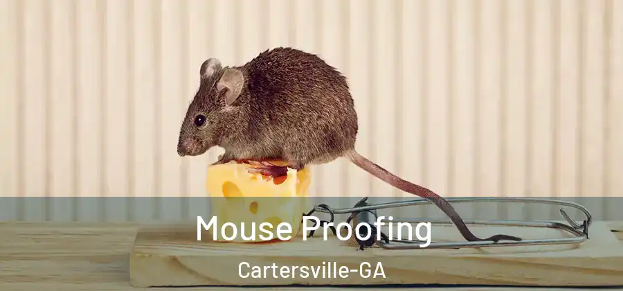 Mouse Proofing Cartersville-GA