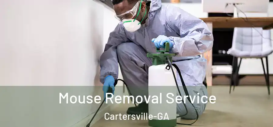  Mouse Removal Service Cartersville-GA