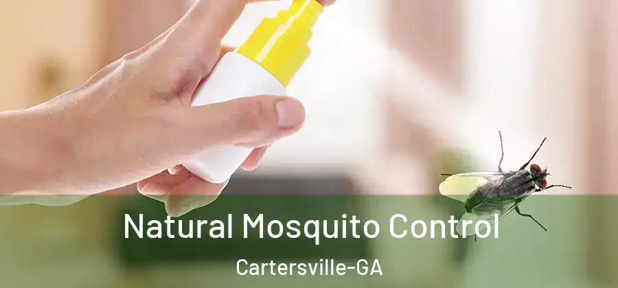  Natural Mosquito Control Cartersville-GA