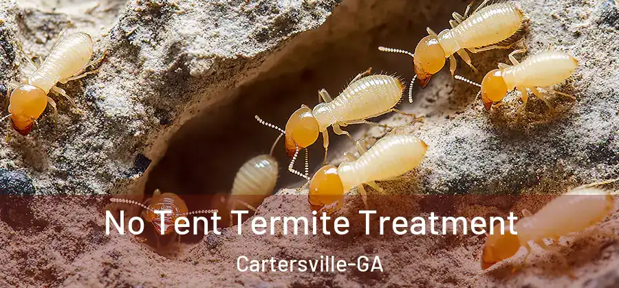 No Tent Termite Treatment Cartersville-GA