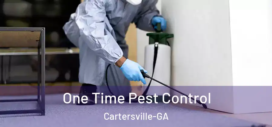  One Time Pest Control Cartersville-GA