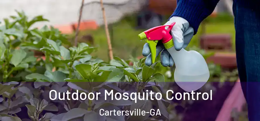 Outdoor Mosquito Control Cartersville-GA