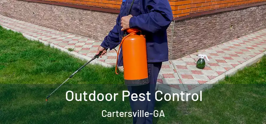  Outdoor Pest Control Cartersville-GA