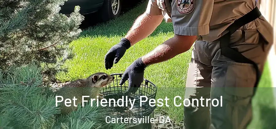  Pet Friendly Pest Control Cartersville-GA