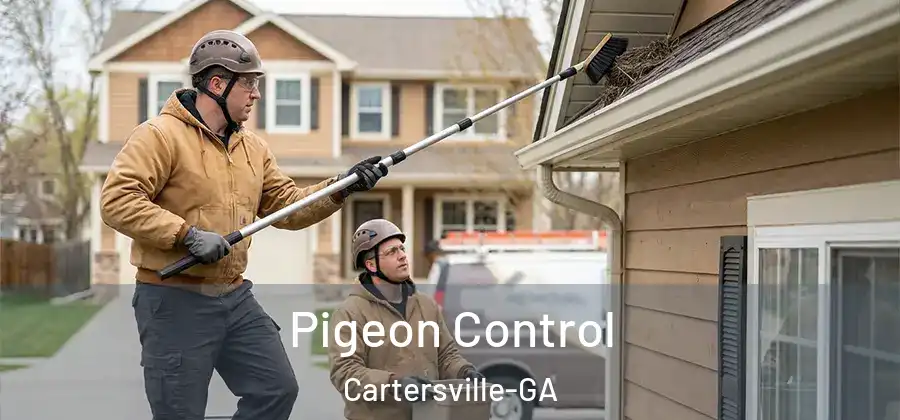  Pigeon Control Cartersville-GA