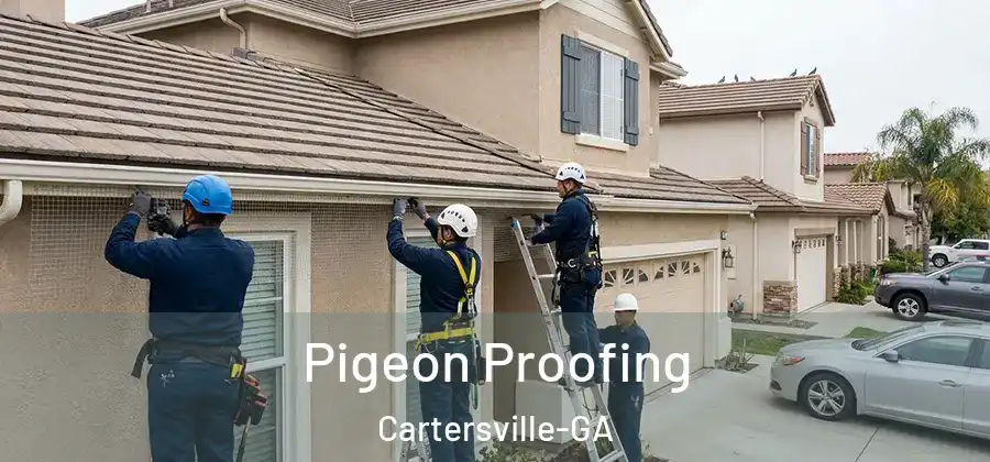  Pigeon Proofing Cartersville-GA