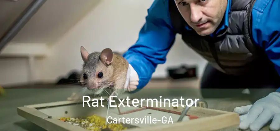 Rat Exterminator Cartersville-GA