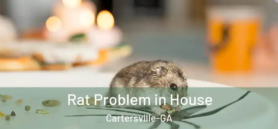  Rat Problem in House Cartersville-GA