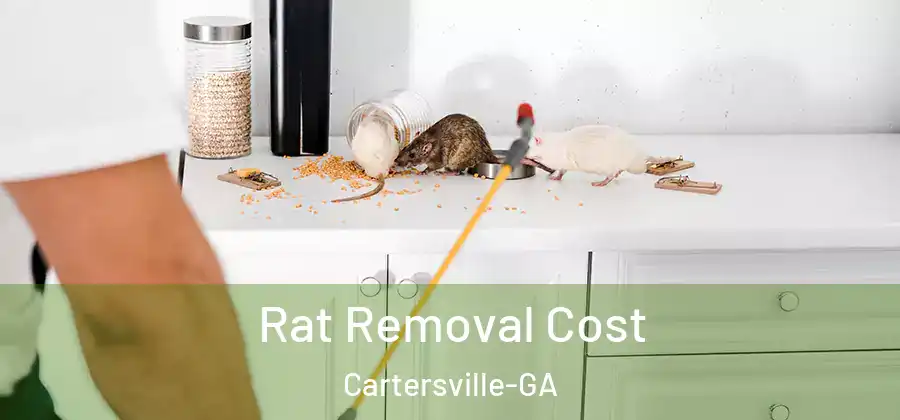  Rat Removal Cost Cartersville-GA