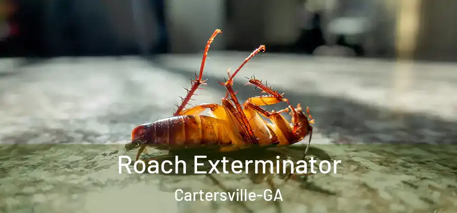 Roach Exterminator Cartersville-GA