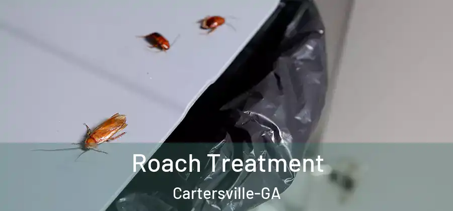  Roach Treatment Cartersville-GA