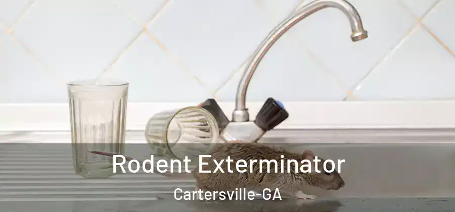  Rodent Exterminator Cartersville-GA