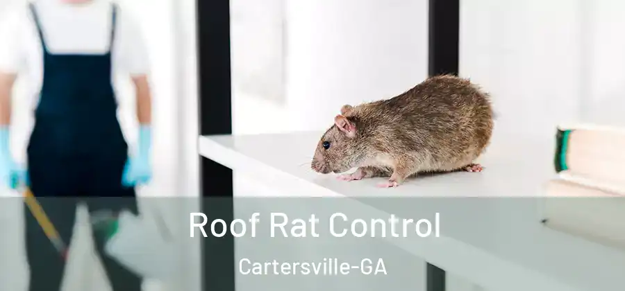  Roof Rat Control Cartersville-GA