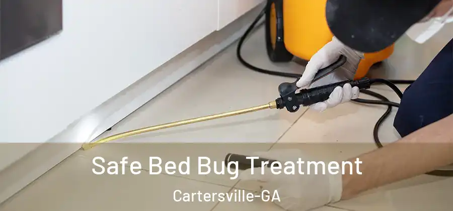 Safe Bed Bug Treatment Cartersville-GA