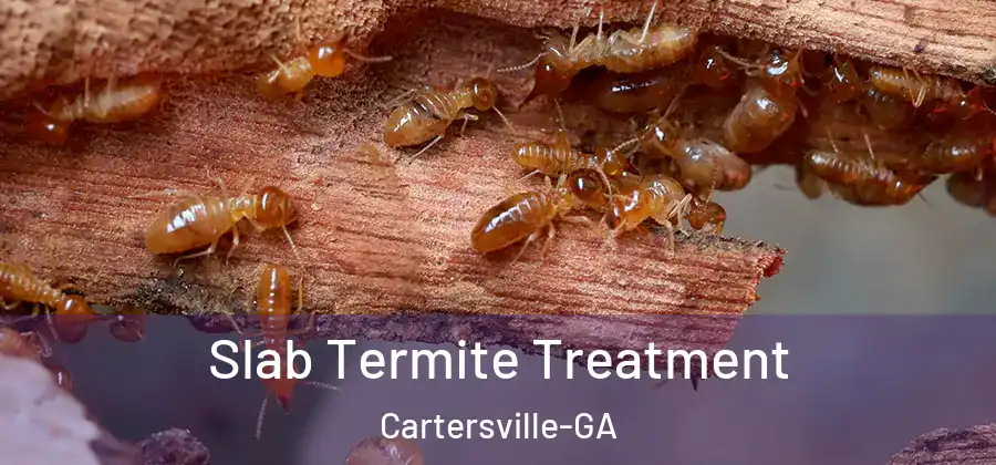 Slab Termite Treatment Cartersville-GA