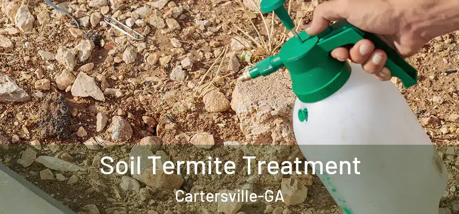 Soil Termite Treatment Cartersville-GA