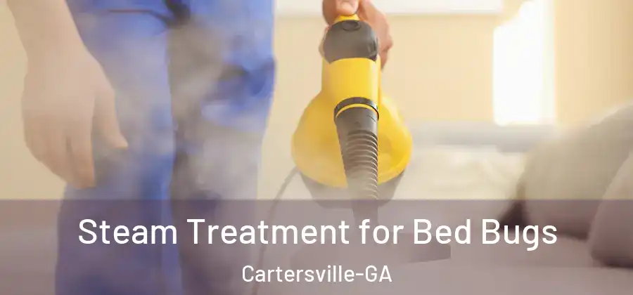 Steam Treatment for Bed Bugs Cartersville-GA