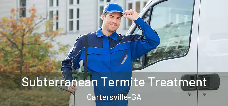 Subterranean Termite Treatment Cartersville-GA