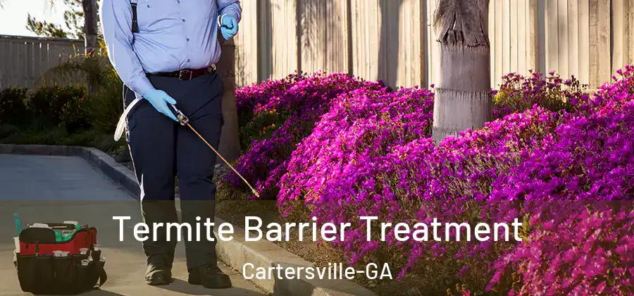  Termite Barrier Treatment Cartersville-GA