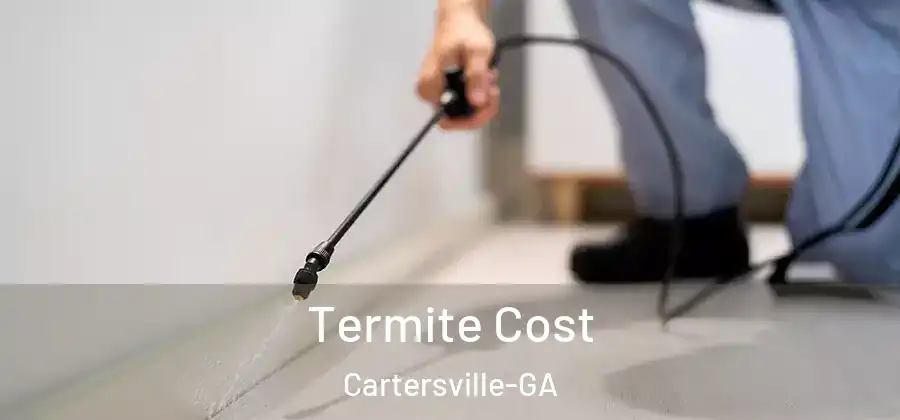  Termite Cost Cartersville-GA