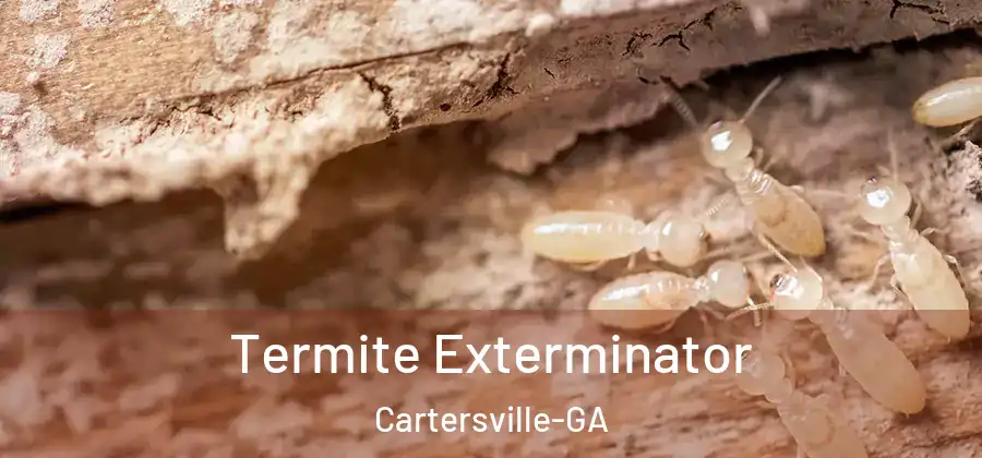 Termite Exterminator Cartersville-GA