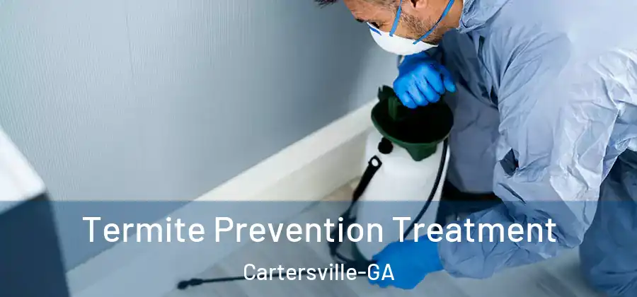  Termite Prevention Treatment Cartersville-GA
