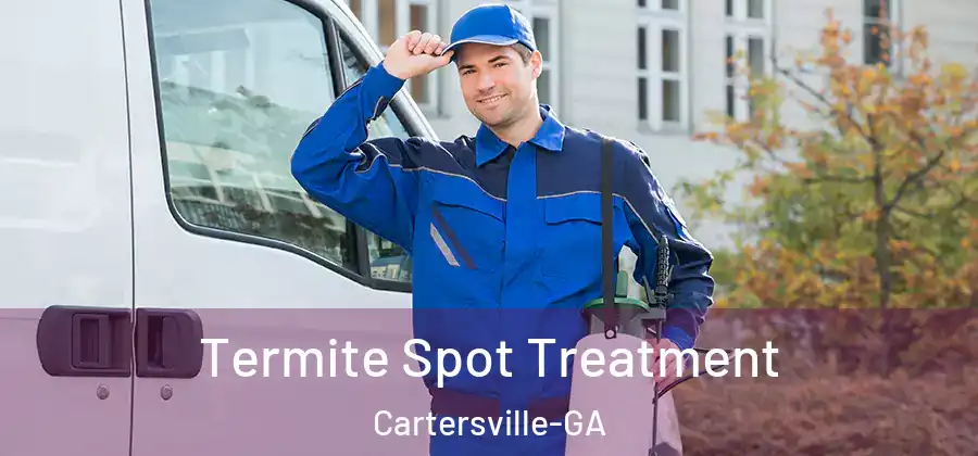  Termite Spot Treatment Cartersville-GA