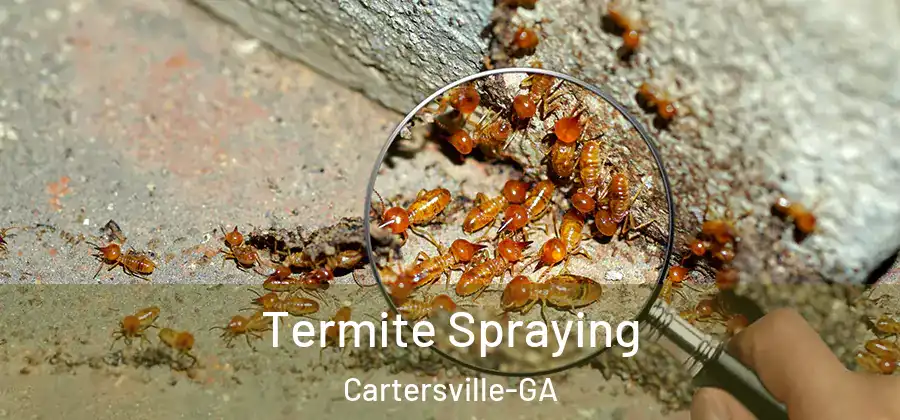 Termite Spraying Cartersville-GA