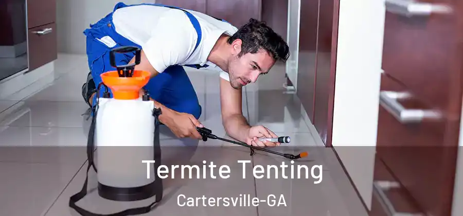  Termite Tenting Cartersville-GA
