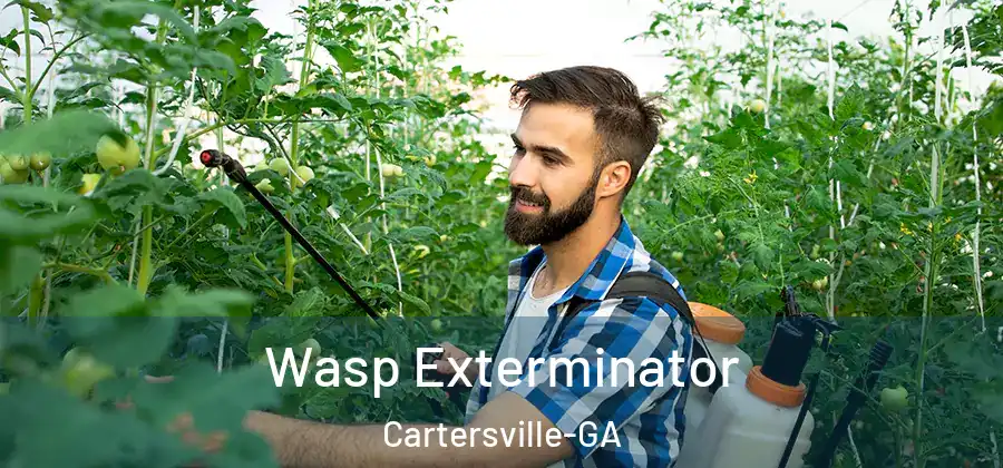  Wasp Exterminator Cartersville-GA